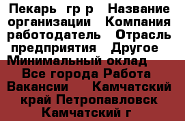 Пекарь– гр/р › Название организации ­ Компания-работодатель › Отрасль предприятия ­ Другое › Минимальный оклад ­ 1 - Все города Работа » Вакансии   . Камчатский край,Петропавловск-Камчатский г.